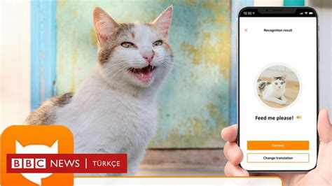 K­e­d­i­l­e­r­i­n­ ­M­i­y­a­v­l­a­m­a­l­a­r­ı­n­ı­ ­T­e­r­c­ü­m­e­ ­E­d­e­n­ ­U­y­g­u­l­a­m­a­:­ ­M­e­o­w­T­a­l­k­